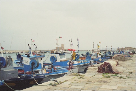 Der Hafen von Trapani